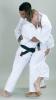 Judo Fehr Mester ruha