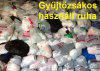 Original eredeti gyjts hasznlt ruha beszlltt keresnk.
Cgnk beszlltt keres original Holland, Angol, Kanadai s egyb orszgokbl.
Minden korrekt megolds rdekel.
rajnlatokat krem e-mail-ben kldenek rsznkre.
Ksznettel: P...