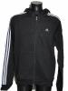 Adidas CR ESS 3SFZHOOD frfi vgigzippes pulver