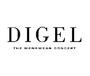 DIGEL slim fit ltny farmerhats szrke